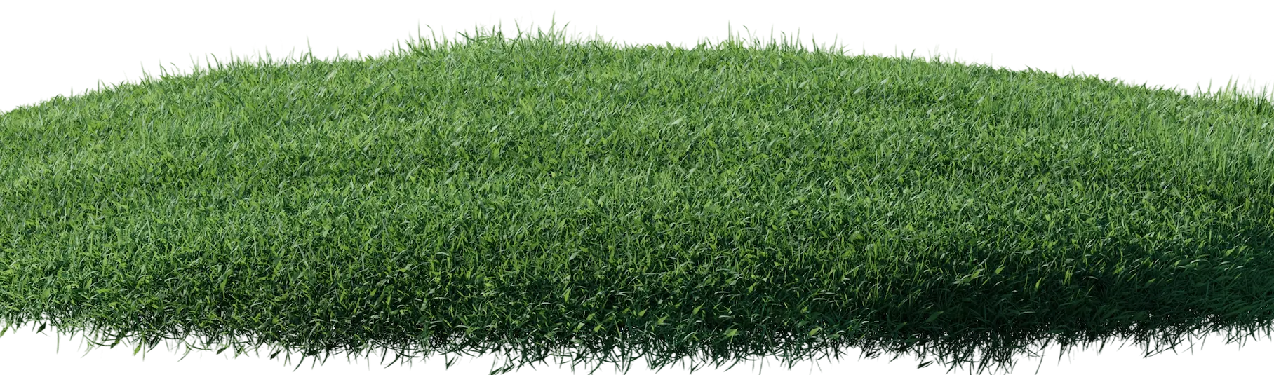 grass-img